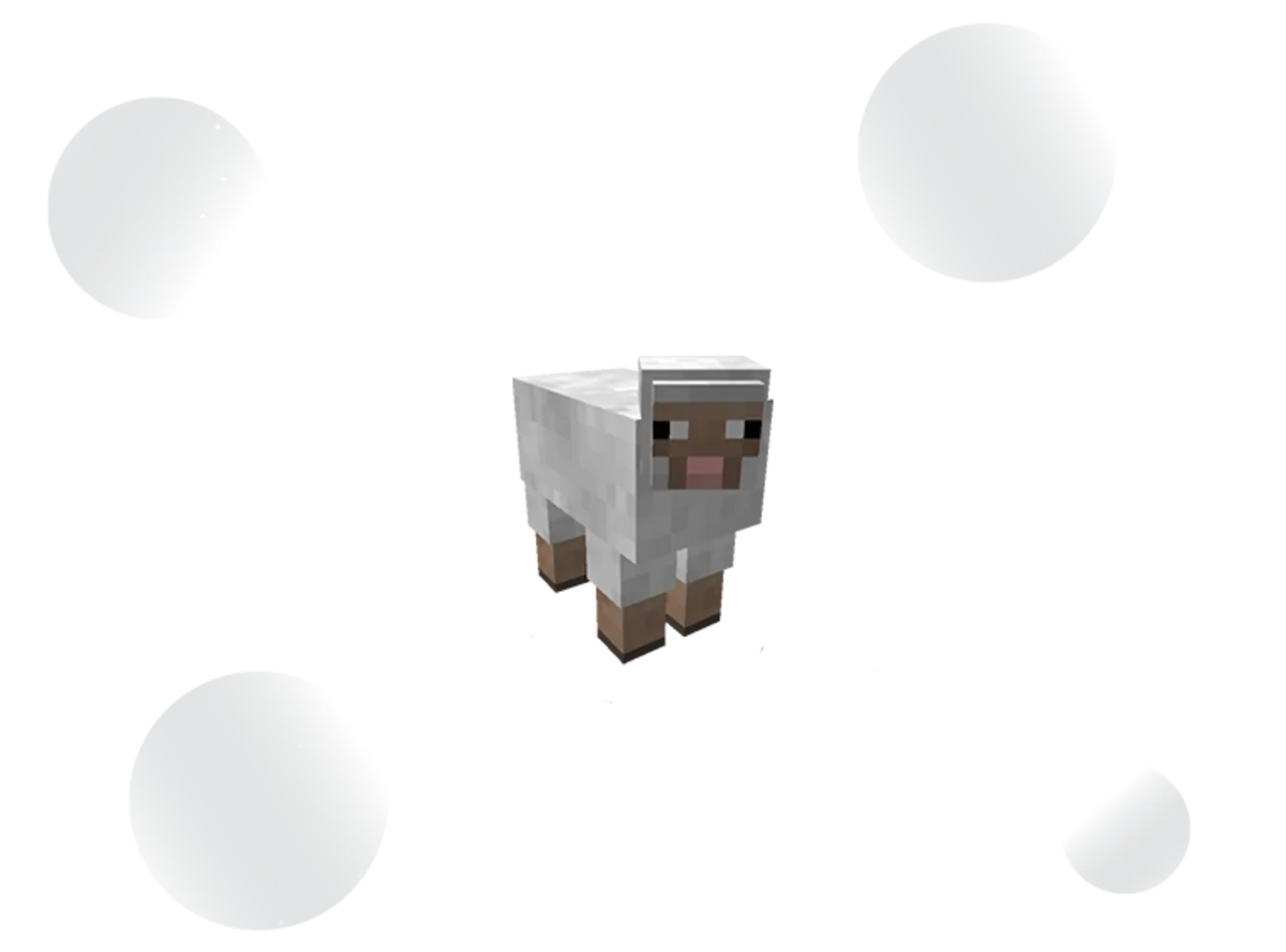 404